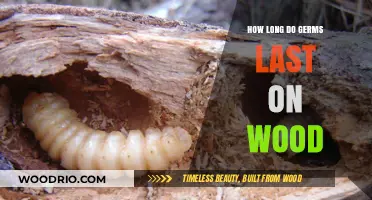 How Long Do Germs Survive on Wood Surfaces? A Guide