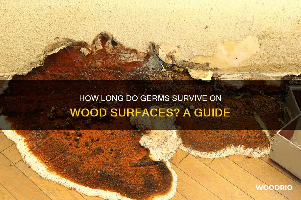 how long do germs last on wood