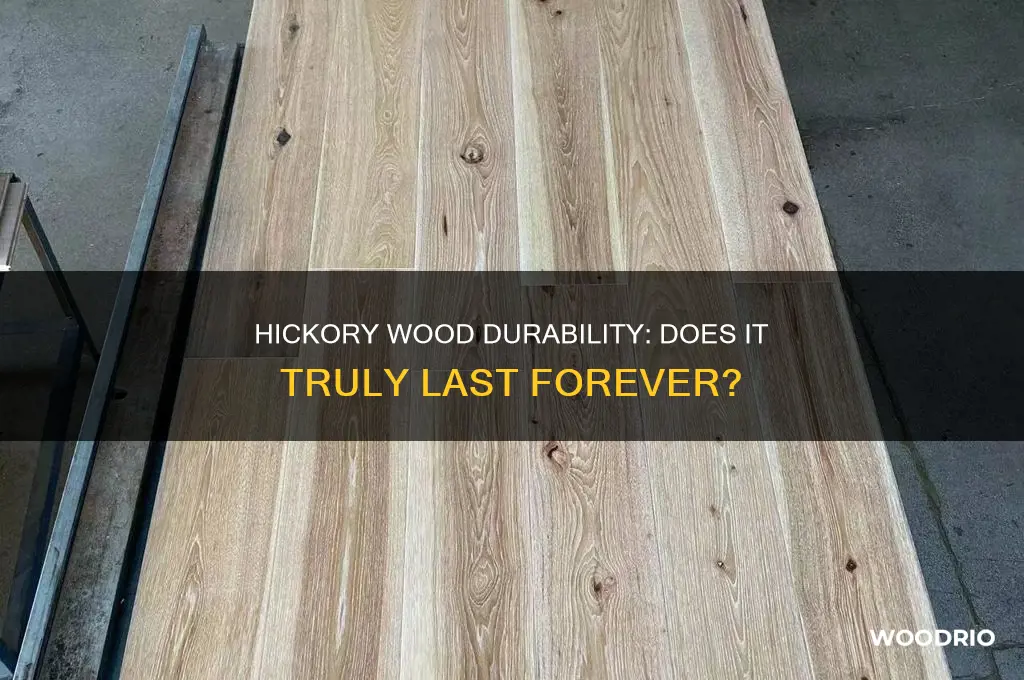 how long do hickory wood last forever