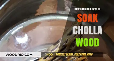 Perfect Soaking Time for Cholla Wood: A Complete Guide