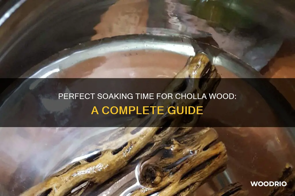 how long do i have to soak cholla wood