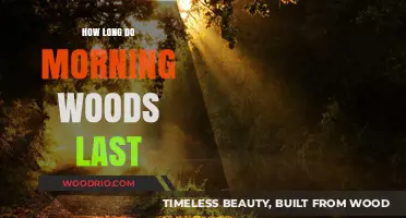Understanding Morning Woods Duration: How Long Does It Typically Last?