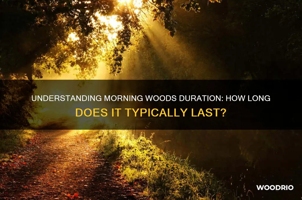 how long do morning woods last