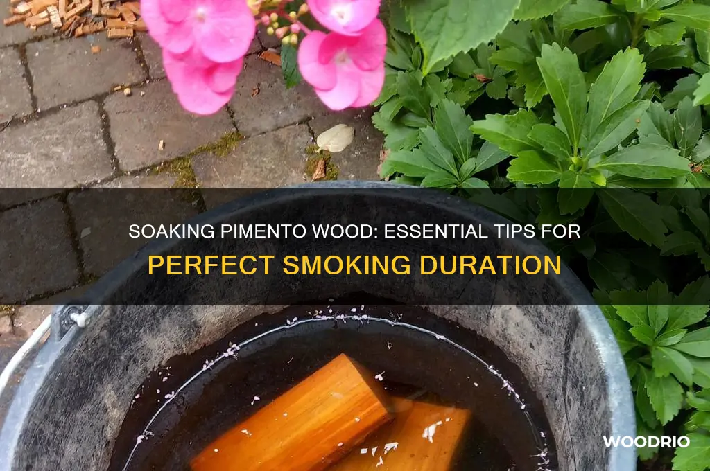 how long do pamento wood need to soak