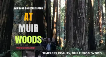 Exploring Muir Woods: Average Visitor Time and Tips for Your Trip