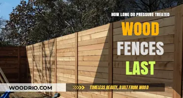 Durability Unveiled: Lifespan of Pressure-Treated Wood Fences Explained