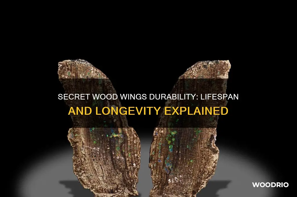 how long do secret wood wings last