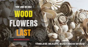 Sola Wood Flowers Lifespan: Durability, Care, and Longevity Explained
