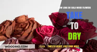 Drying Sola Wood Flowers: Timeframe and Tips for Perfect Results