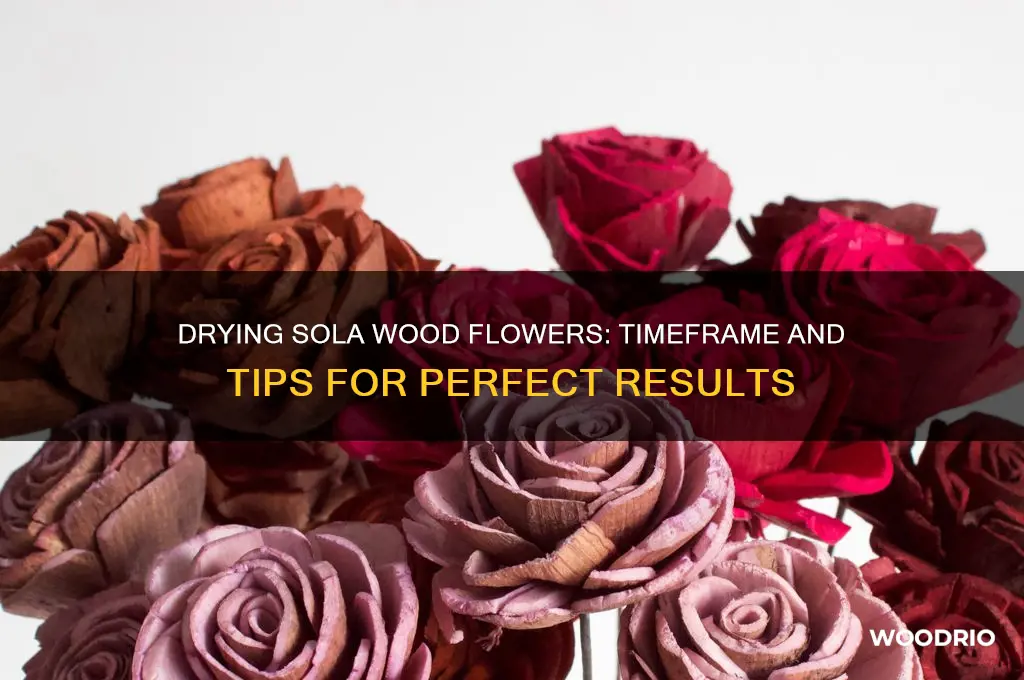 how long do sola wood flowers take to dry