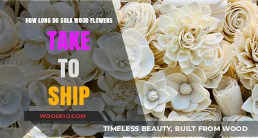Sola Wood Flowers Shipping Time: What to Expect for Delivery