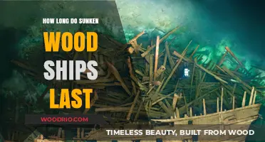Sunken Wooden Ships: Uncovering Their Remarkable Underwater Lifespan