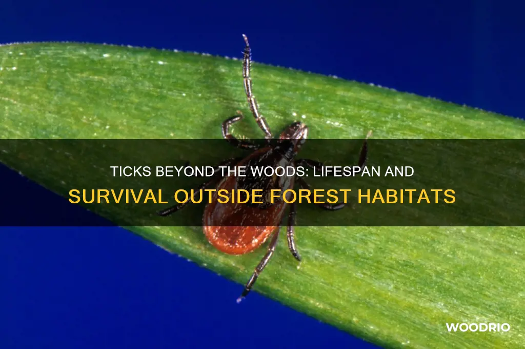 how long do ticks live outside the woods