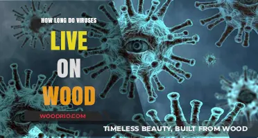 How Long Do Viruses Survive on Wood Surfaces?