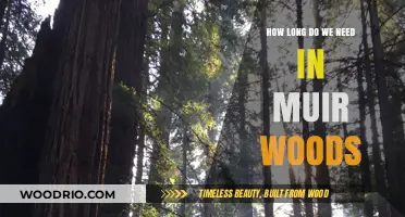 Exploring Muir Woods: Ideal Time for a Serene Nature Experience