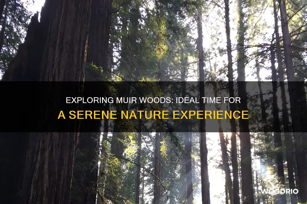 how long do we need in muir woods