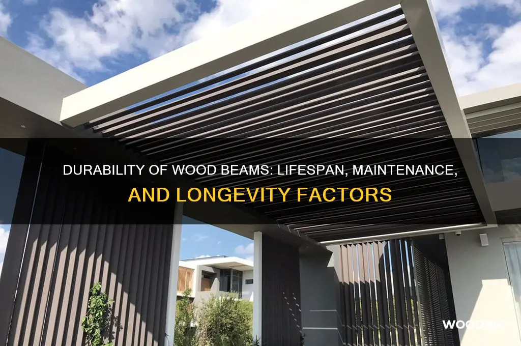 how long do wood beams last