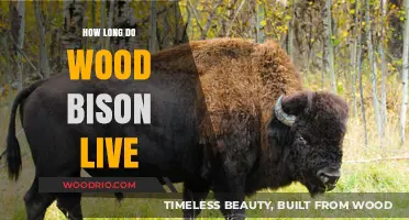 Understanding the Lifespan of Wood Bison in the Wild