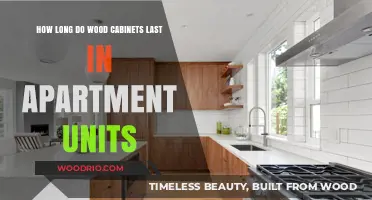Durability of Wood Cabinets in Apartments: Lifespan and Maintenance Tips