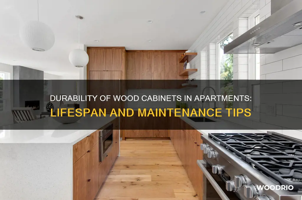 how long do wood cabinets last in apartment units