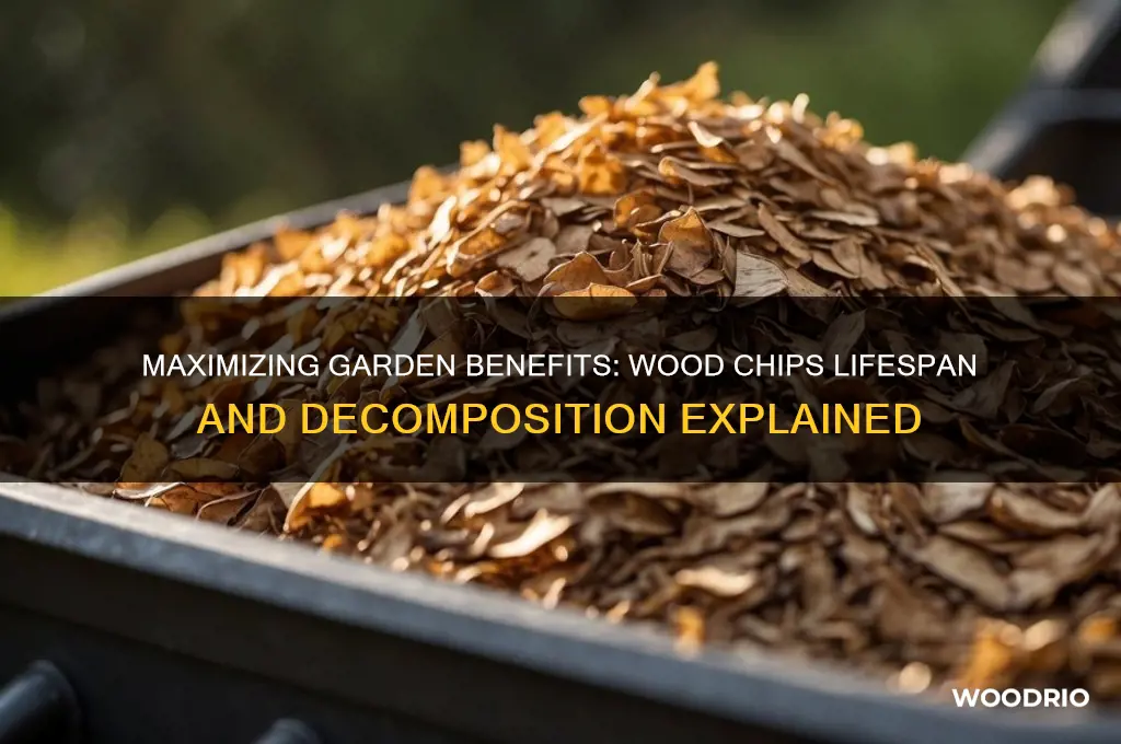 how long do wood chips last in garden
