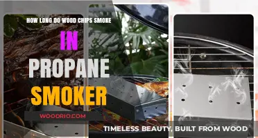 Mastering Propane Smoking: Wood Chip Burn Time Explained