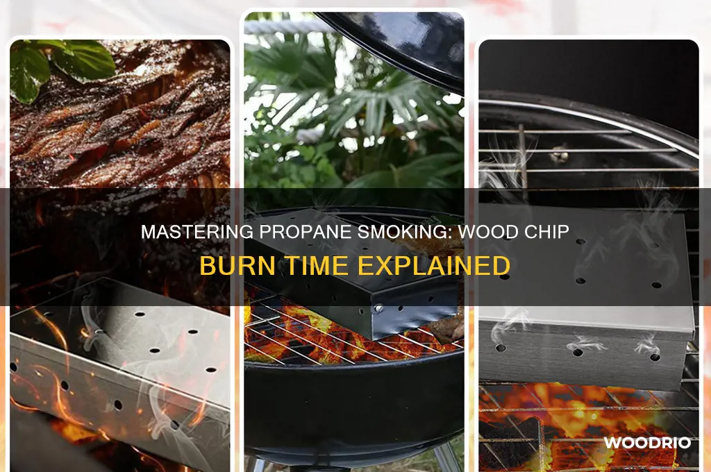 how long do wood chips smoke in propane smoker