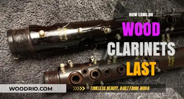 Durability of Wood Clarinets: Lifespan, Care, and Maintenance Tips