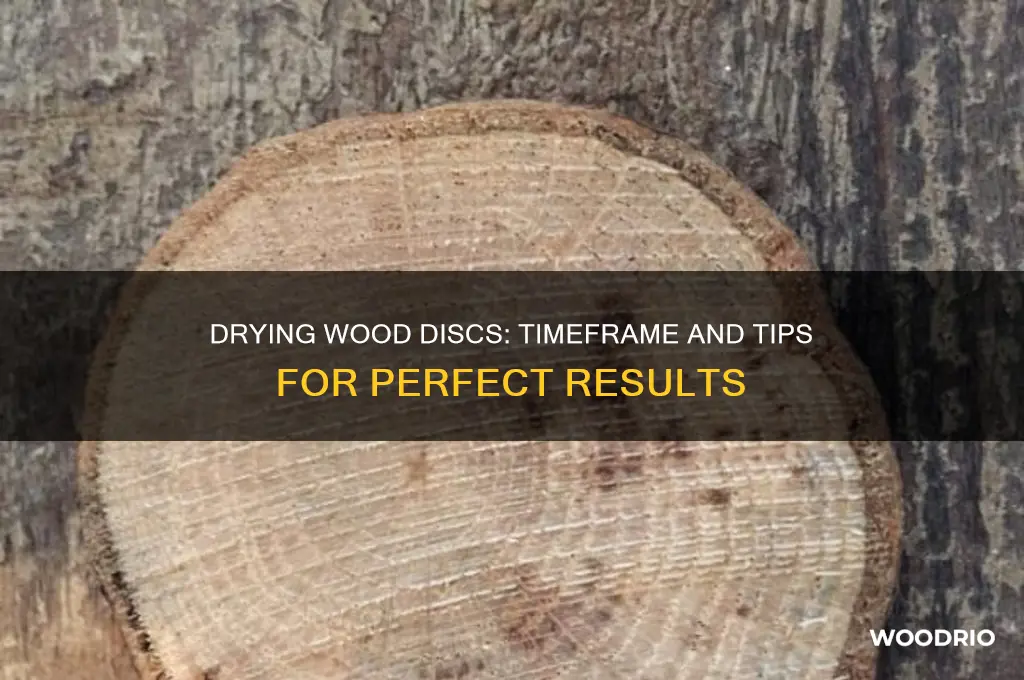 how long do wood discs take to dry