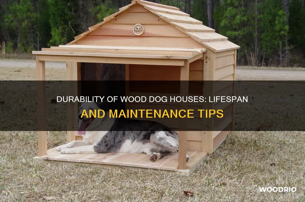 how long do wood dog houses last