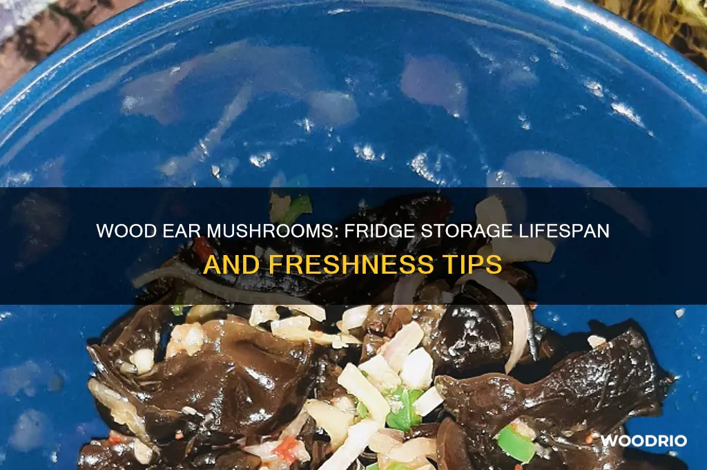 how long do wood ear mushrooms last in the fridge