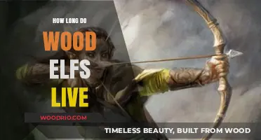 Wood Elf Lifespan: Unveiling the Secrets of Their Longevity