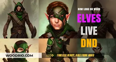 Exploring the Lifespan of Wood Elves in Dungeons & Dragons