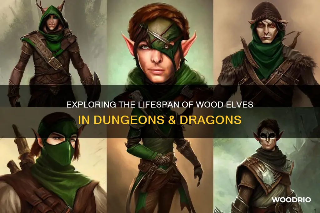 how long do wood elves live dnd