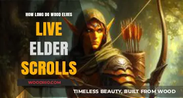 Elder Scrolls Wood Elves Lifespan: Unveiling Their Mystical Longevity Secrets