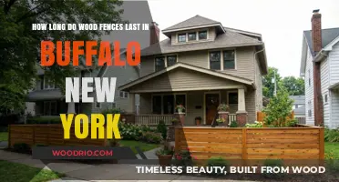 Buffalo's Wood Fence Lifespan: Factors Affecting Durability in Harsh Winters