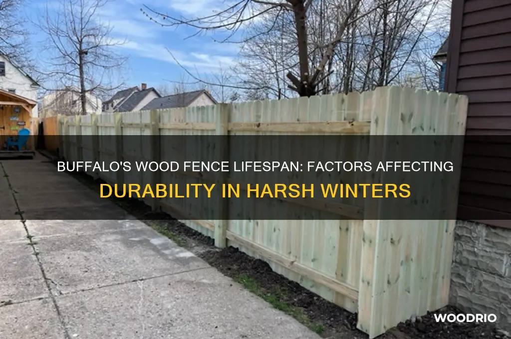 how long do wood fences last in buffalo new york