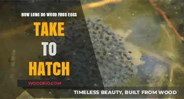 Wood Frog Egg Hatching Timeline: From Spawn to Tadpole