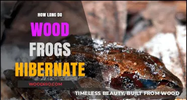 Wood Frogs' Hibernation Duration: Unveiling Their Winter Survival Secrets
