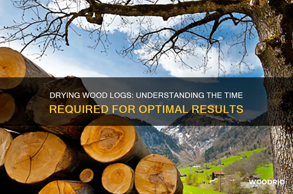 how long do wood logs take to dry