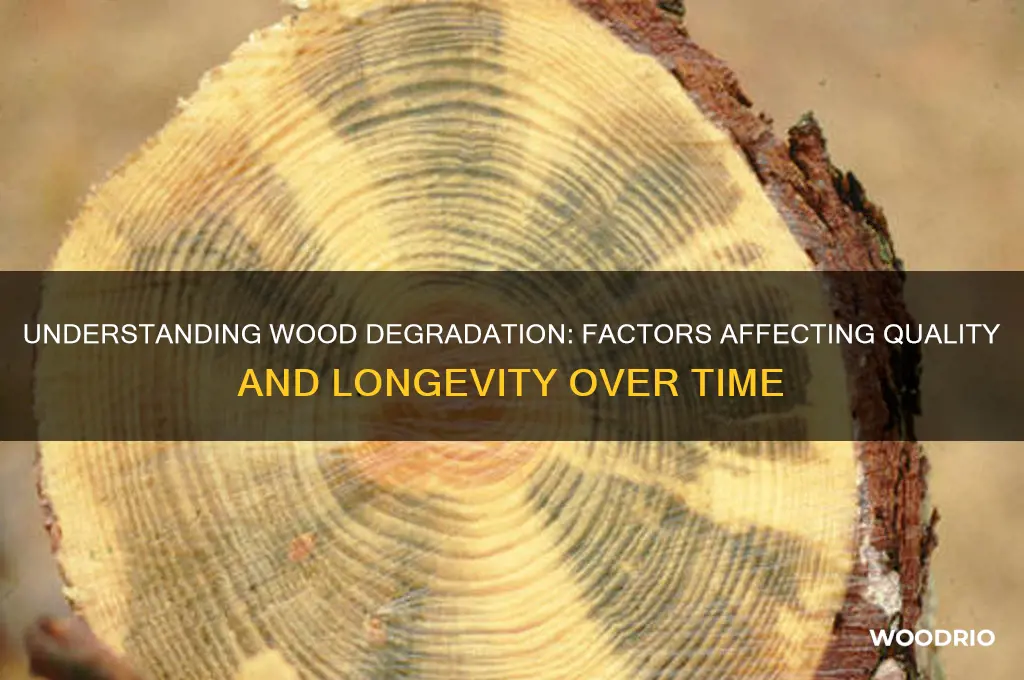 how long do wood losing quality