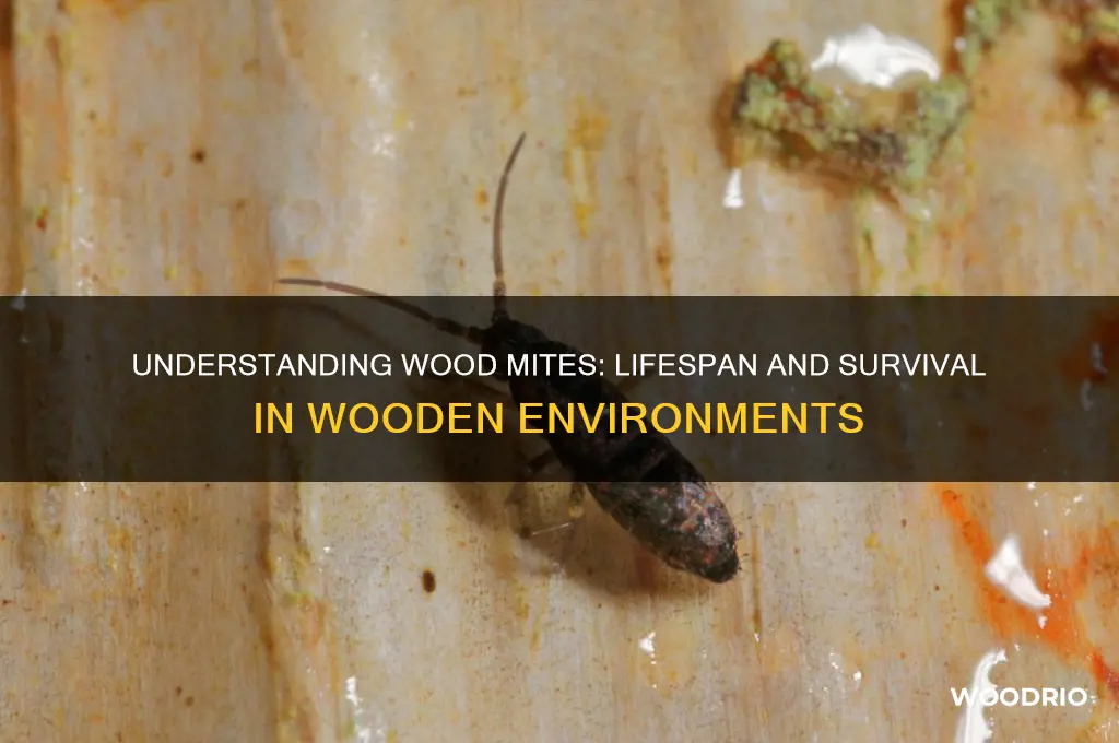 how long do wood mites live