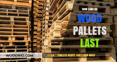 Durability of Wood Pallets: Lifespan and Maintenance Tips