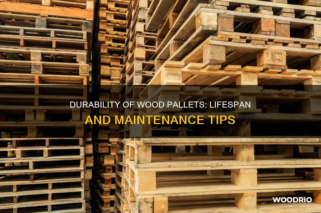 how long do wood pallets last