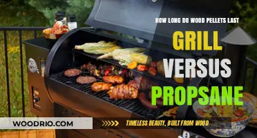 Wood Pellets vs. Propane: Comparing Fuel Longevity for Grilling