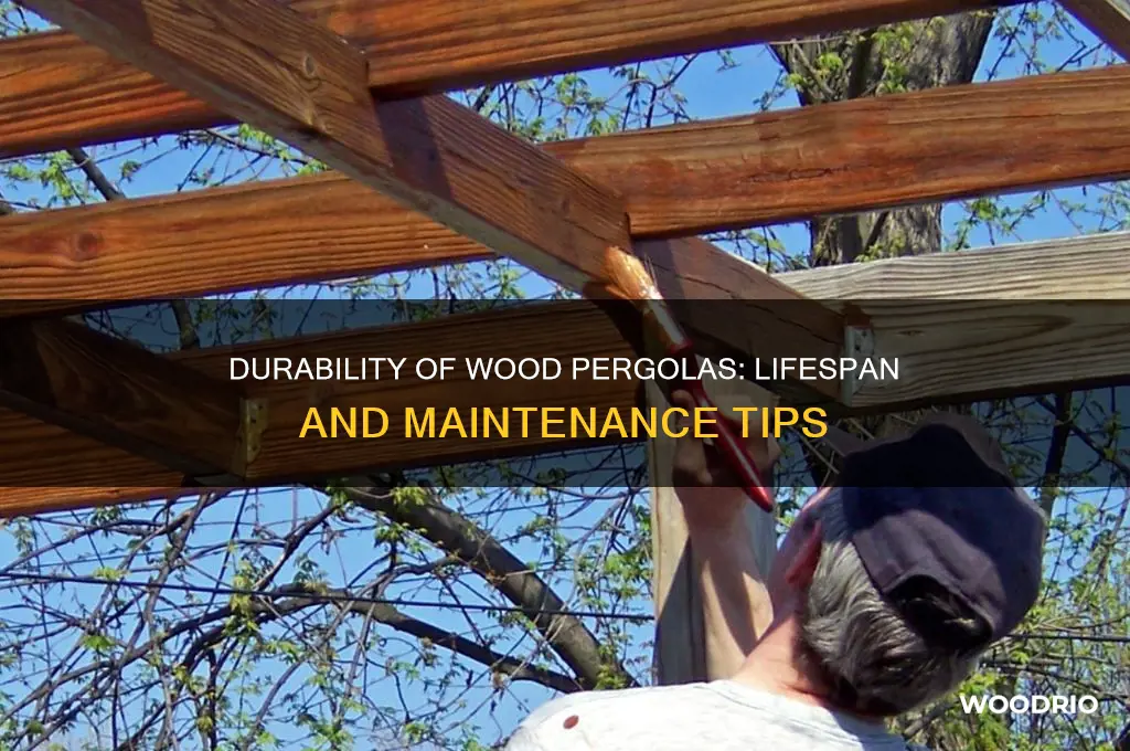 how long do wood pergolas last