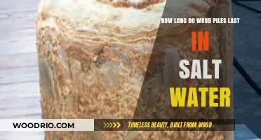 Wood Piles in Salt Water: Durability and Lifespan Explained
