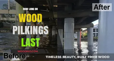 Wood Pilings Lifespan: Factors Affecting Durability and Longevity