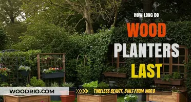 Durability of Wood Planters: Lifespan and Maintenance Tips Revealed