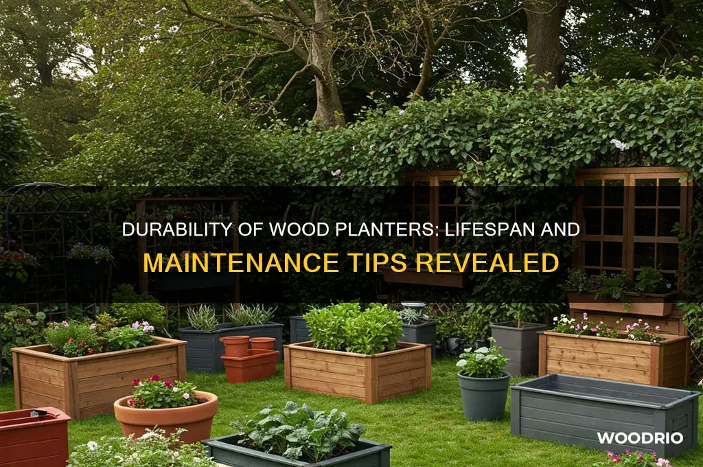 how long do wood planters last